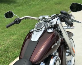 2018 Deluxe - NEEDS A HOME!!