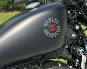 2019 Iron 883